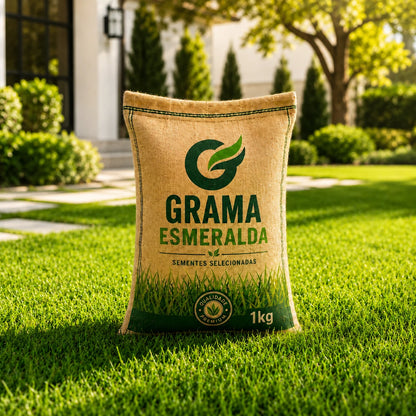 Sementes de Grama Esmeralda Premium – Gramado Denso e Macio